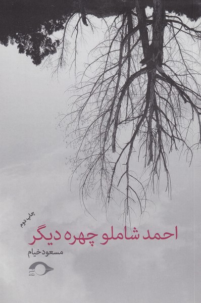 احمد شاملو چهره دیگر