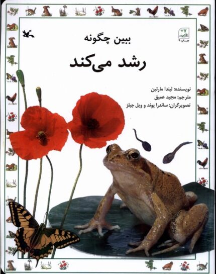 ببین چگونه رشد می‌کند