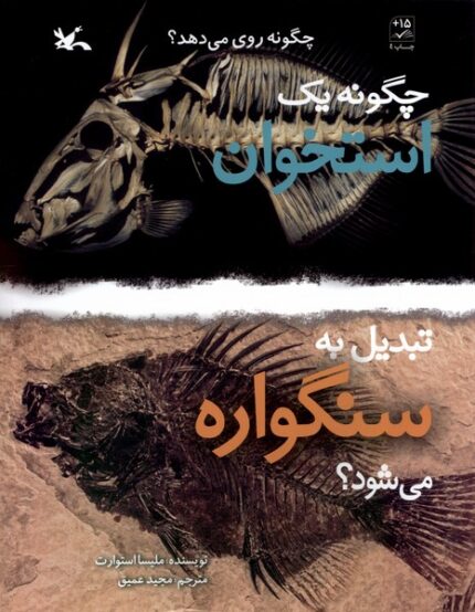 چگونه ‌یک ‌‌استخوان ‌‌تبدیل ‌به‌ سنگواره ‌می‌شود