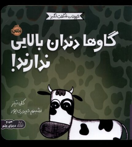 حیوانات شگفت انگیز گاو ها‌ دندان ‌بالایی ‌ندارند !