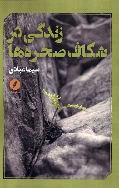 زندگی در شکاف صخره ها