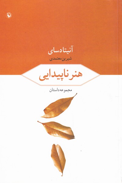 هنر ناپیداییی