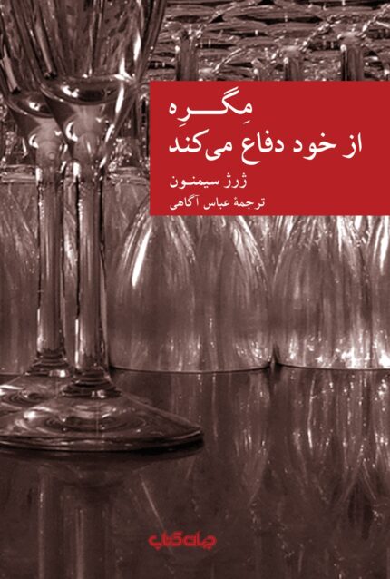 مگره از خود دفاع می کند