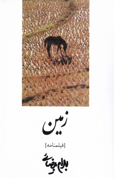 زمین